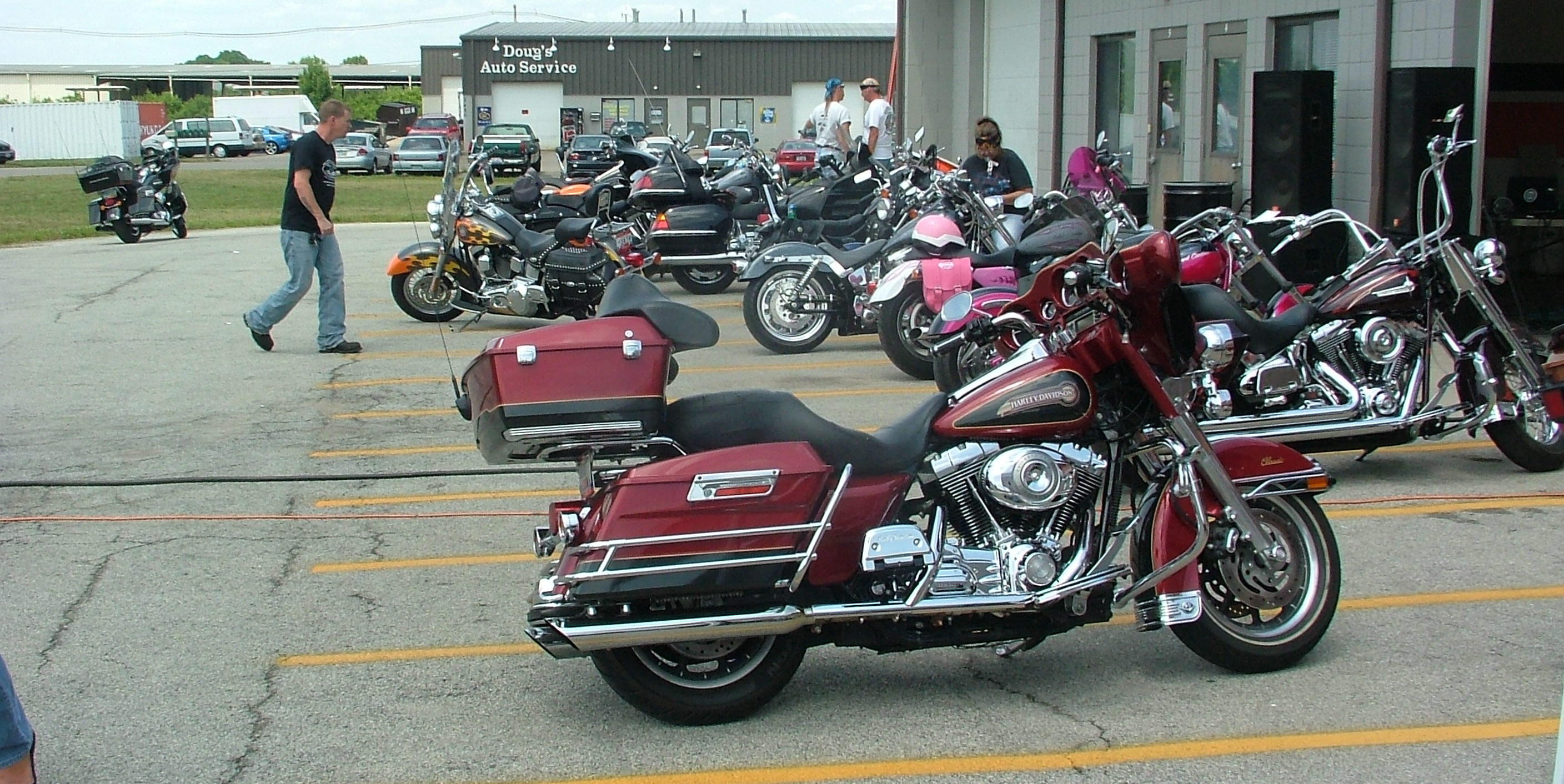 Hide Harley Davidson Lineup of Bikes